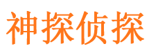 田家庵外遇调查取证